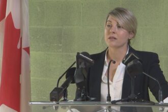 Indian diplomats in Canada are ‘clearly on notice,’ Joly warns – National | Globalnews.ca