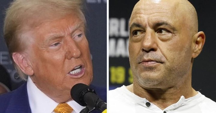 Trump repeated election lies in his interview with Joe Rogan. Here are the facts – National | Globalnews.ca