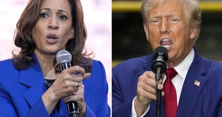 U.S. election: Will Harris, Trump foreign policy plans help or hurt Canada? – National | Globalnews.ca