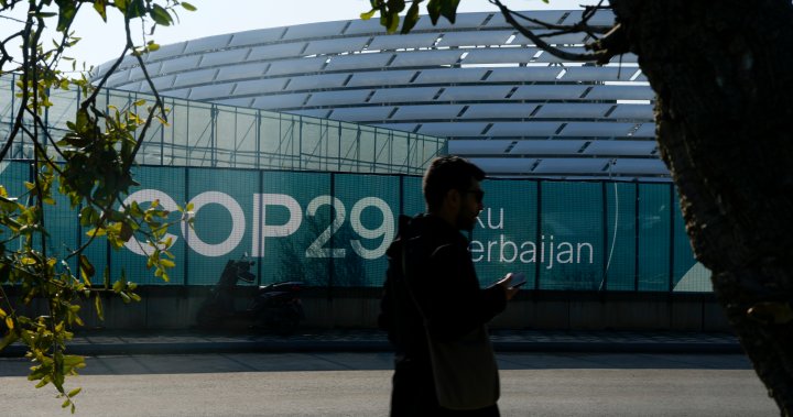As COP29 starts, what is Canada’s role in climate finance negotiations? – National | Globalnews.ca