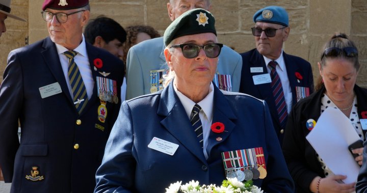 Canadian veterans recall easing tensions in ethnically split Cyprus – National | Globalnews.ca