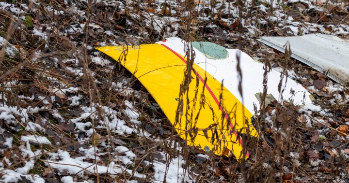 DHL cargo plane crashes into home in Lithuania, kills 1 – National | Globalnews.ca