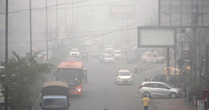 India’s capital sees air pollution hit 50 times the safe limit – National | Globalnews.ca