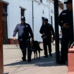 California couple shot dead in Mexico while on vacation for the holidays – National | Globalnews.ca