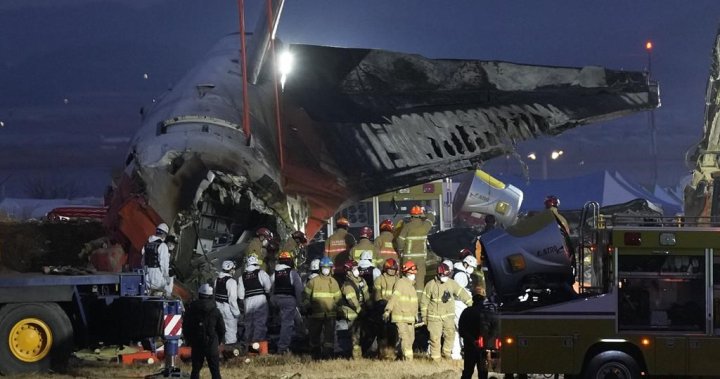 Plane crashes while landing in South Korea, killing 179 people – National | Globalnews.ca