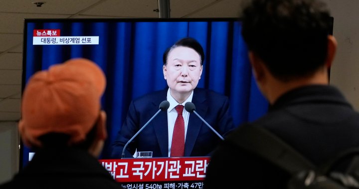Read the full text of South Korea’s martial law decree – National | Globalnews.ca