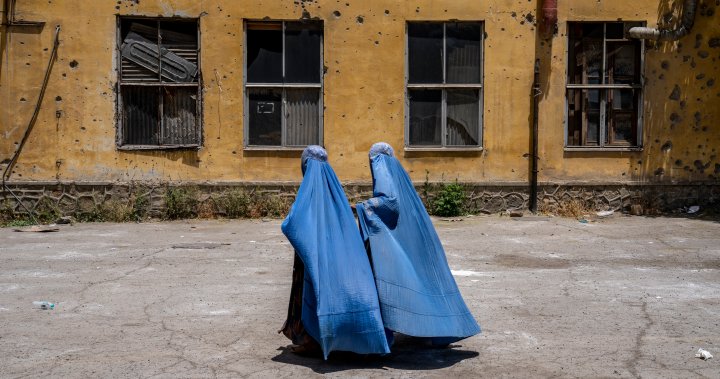 Taliban to close all NGOs employing women in Afghanistan – National | Globalnews.ca