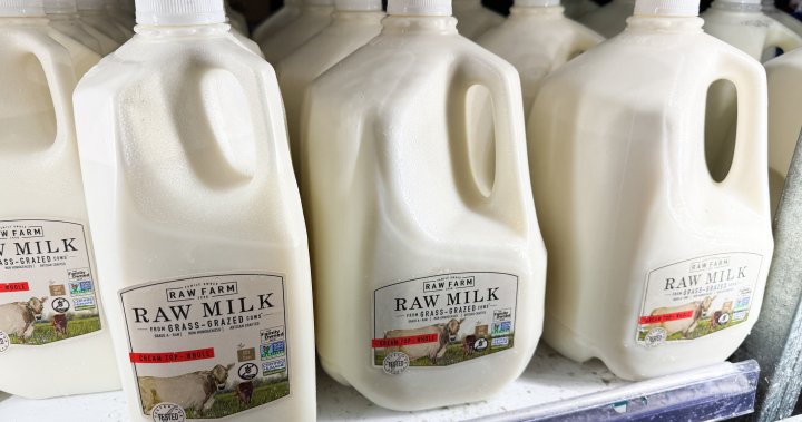 U.S. mandates bird flu testing for milk supply amid outbreak – National | Globalnews.ca