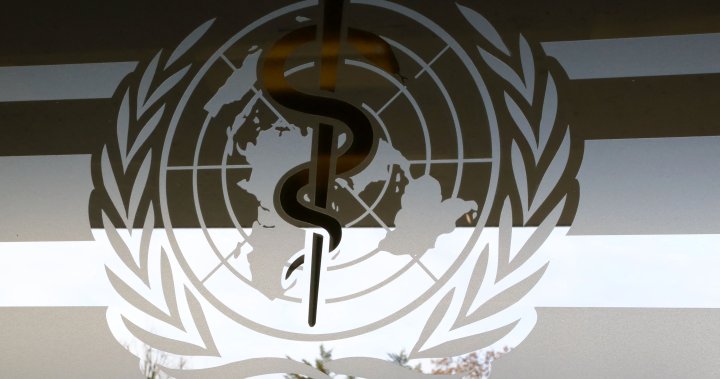What is Congo’s mystery flu-like illness? WHO sends experts amid outbreak – National | Globalnews.ca