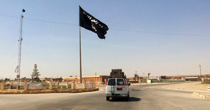 Yazidi teen says she escaped ISIS in Iraq, only to be sexually assaulted in Winnipeg  | Globalnews.ca