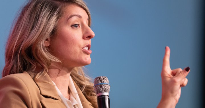 Canada should be part of talks involving Ukraine security after war: Joly – National | Globalnews.ca