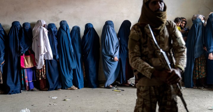 Taliban have no legal right to multibillion dollar Afghan fund: US watchdog – National | Globalnews.ca