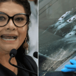 2 top aides to Mexico City mayor gunned down in brazen attack – National | Globalnews.ca