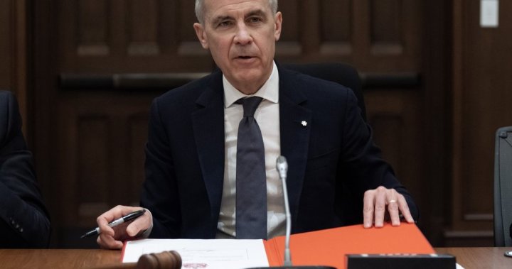 As Canada and Europe look to partner on defence, what could that look like? – National | Globalnews.ca