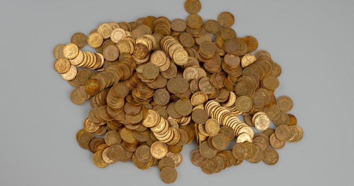 Cache of gold coins, other treasures found by hikers in Czech forest – National | Globalnews.ca