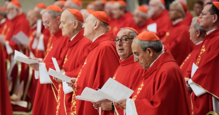 How long has a conclave gone? Facts about the secret vote to elect the Pope – National | Globalnews.ca