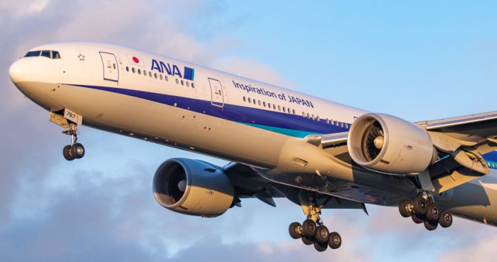 Passenger restrained after trying to open plane exit door mid-flight – National | Globalnews.ca