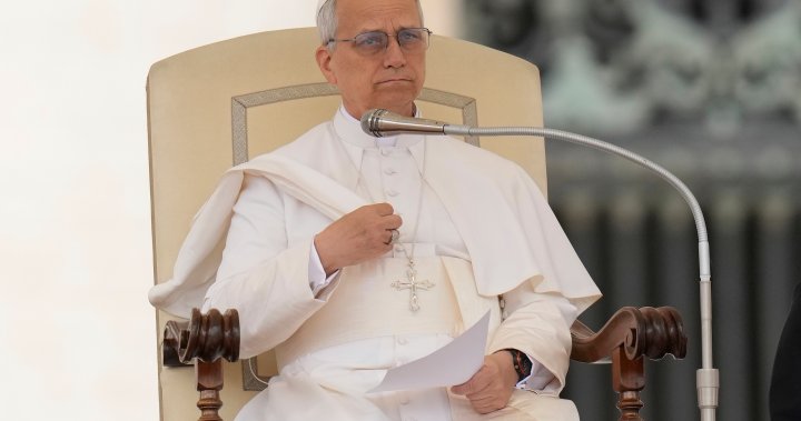 Pope Leo makes ‘heartfelt appeal’ for aid to reach Gaza – National | Globalnews.ca
