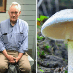 Sole survivor from toxic mushroom-laced meal testifies at murder trial – National | Globalnews.ca