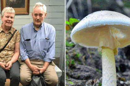 Sole survivor from toxic mushroom-laced meal testifies at murder trial – National | Globalnews.ca