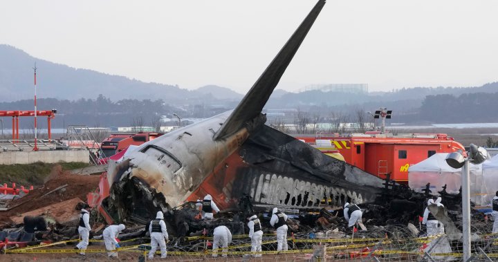 South Korea plane crash victims’ families file complaint against officials – National | Globalnews.ca