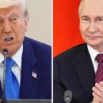 Trump says he hopes for ceasefire progress ahead of calls with Putin, Zelenskyy – National | Globalnews.ca