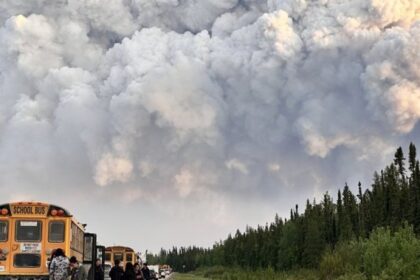 Australia sends crews to help Canada in its fight against wildfires  | Globalnews.ca