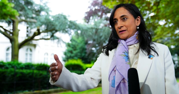 Ottawa has ‘helped’ more than 500 Canadians in Middle East, minister says – National | Globalnews.ca