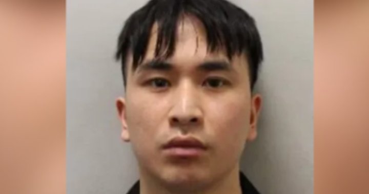 PhD student handed life sentence after raping women in England, China – National | Globalnews.ca