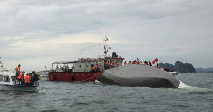18 dead, 23 missing as tourist boat capsizes during Vietnam thunderstorm – National | Globalnews.ca