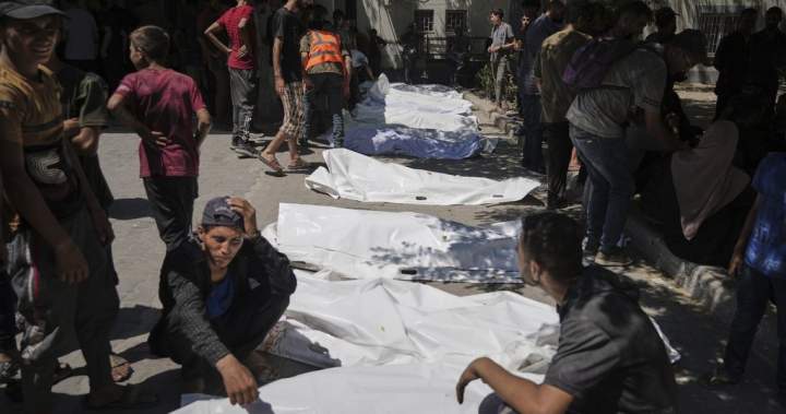Canada says ‘the war in Gaza must end now’ alongside 24 other countries – National | Globalnews.ca