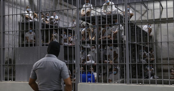 Kilmar Abrego Garcia tortured in El Salvador prison, U.S. court filings say – National | Globalnews.ca