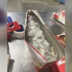 Over 1,400 tarantulas found hidden in cake boxes in German smuggling bust – National | Globalnews.ca