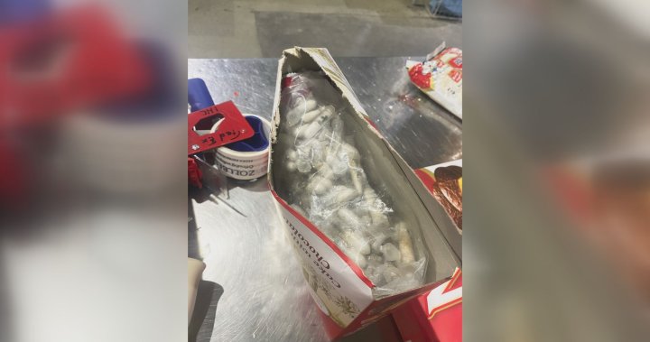 Over 1,400 tarantulas found hidden in cake boxes in German smuggling bust – National | Globalnews.ca