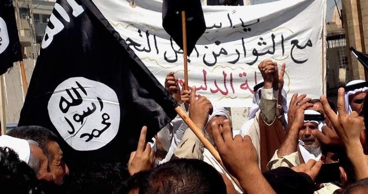 Quebec woman who joined ISIL pleads guilty to supporting terror group  | Globalnews.ca