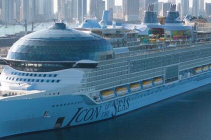 Royal Caribbean crew member stabs coworker before jumping overboard: police – National | Globalnews.ca