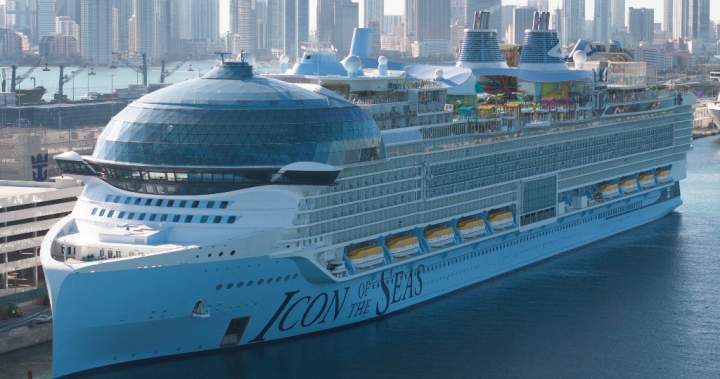 Royal Caribbean crew member stabs coworker before jumping overboard: police – National | Globalnews.ca