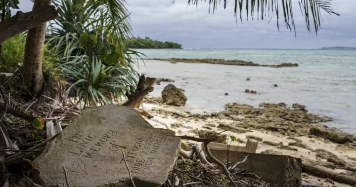 UN top court’s decision on climate change could impact global response – National | Globalnews.ca