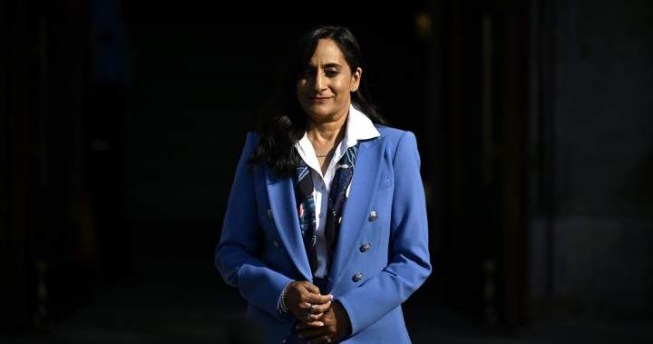 Canada leaving ‘no stone unturned’ to defend Arctic alongside NATO: Anand – National | Globalnews.ca