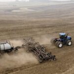 China adds ‘additional pressure’ with new tariffs on Canadian canola – National | Globalnews.ca