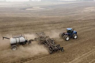 China adds ‘additional pressure’ with new tariffs on Canadian canola – National | Globalnews.ca