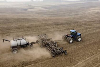 China adds ‘additional pressure’ with new tariffs on Canadian canola – National | Globalnews.ca