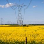 China’s new tariff on Canadian canola takes effect as farmers urge action – National | Globalnews.ca