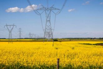 China’s new tariff on Canadian canola takes effect as farmers urge action – National | Globalnews.ca