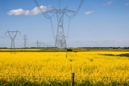 China’s new tariff on Canadian canola takes effect as farmers urge action – National | Globalnews.ca