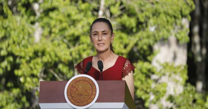Mexico denies U.S. DEA statement on cross-border deal to fight drug cartels – National | Globalnews.ca