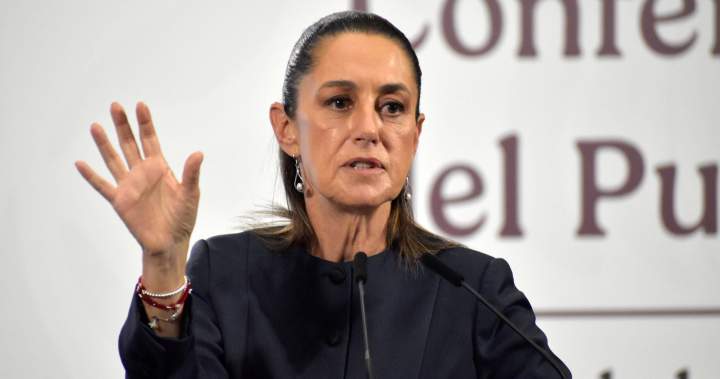 Mexico’s president rules out U.S. military entering to fight cartels – National | Globalnews.ca
