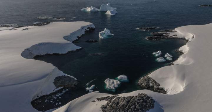 Remains of Antarctic explorer found 66 years after he went missing – National | Globalnews.ca