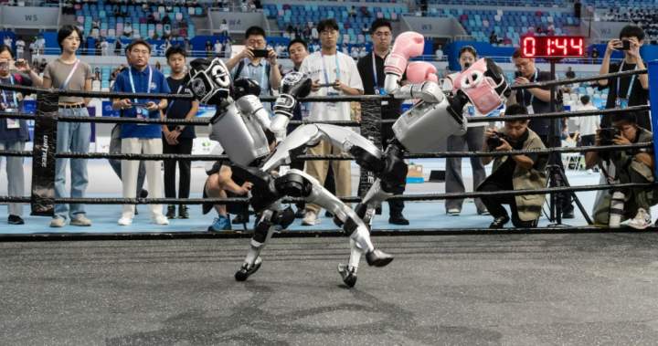 Robots box, sprint and stumble in first-ever World Humanoid Robot Games – National | Globalnews.ca
