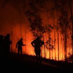 Southern Europe wildfires leave 3 dead, thousands displaced – National | Globalnews.ca